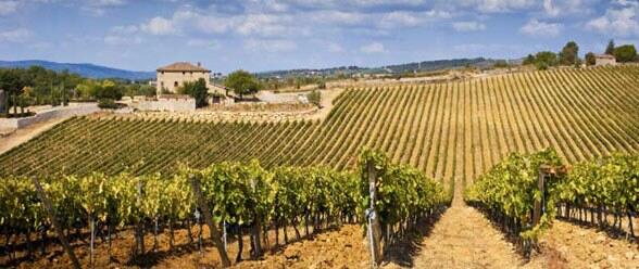 Tuscany Wine day tour