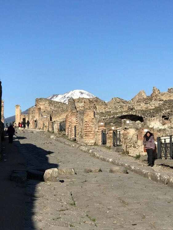 Visita guidata privata di Pompei, Ercolano e del Vesuvio-13