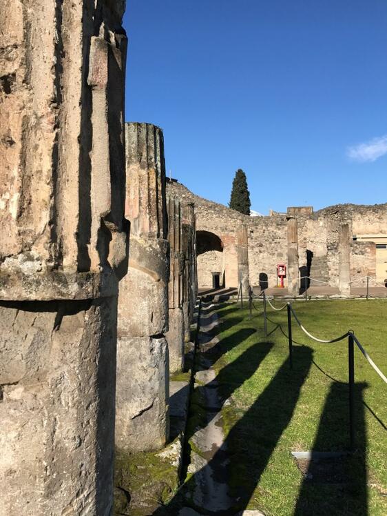 Visita guidata privata di Pompei, Ercolano e del Vesuvio-14
