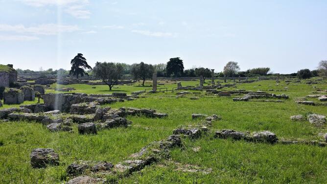 Tour di Paestum ed Ercolano dal porto di Salerno-5