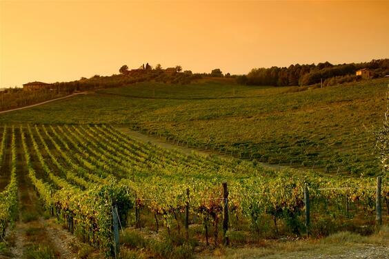 Greve in Chianti-4
