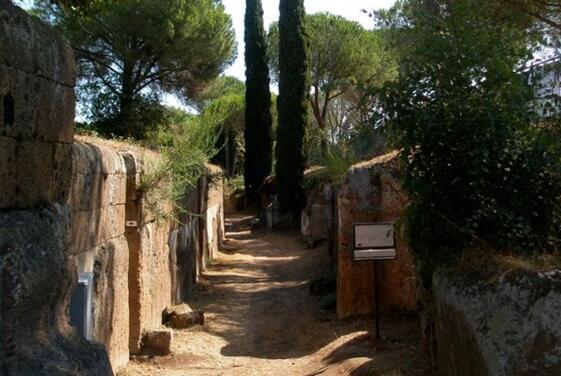 Porto di Civitavecchia - Necropoli etrusche di Cerveteri e Tarquinia Tour privato a terra-3