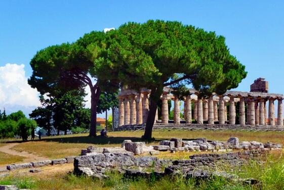 Scopri l'area archeologica Paestum-1