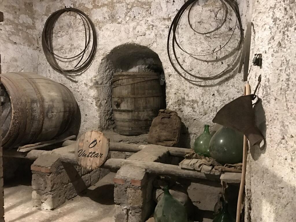 Tour del vino Taurasi ad Avellino-2