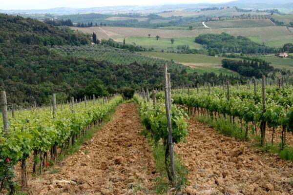 Greve in Chianti-2